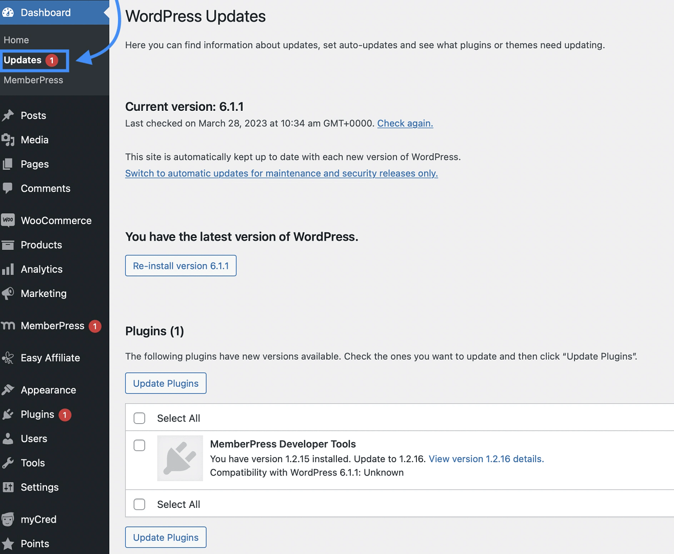 Use the admin dashboard to check for WordPress plugin updates