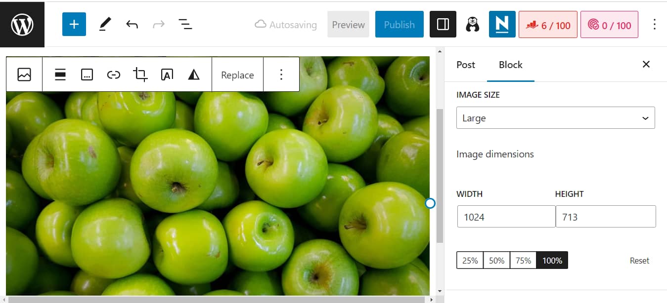 Image dimensions in the WordPress Block Editor.