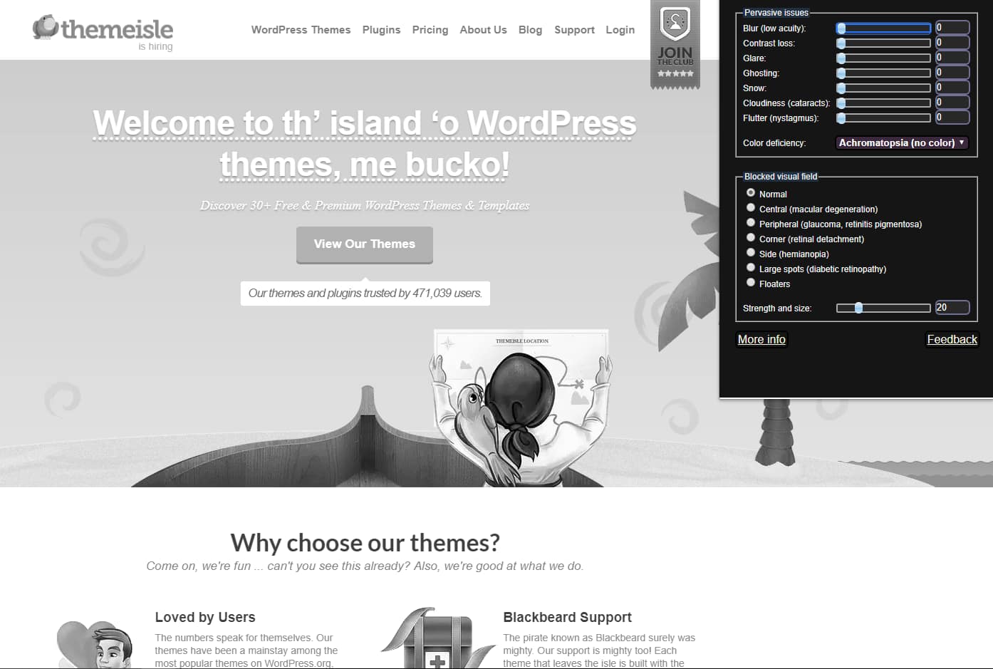 Our site in gray scale when using an accessibility testing tool for vision problems