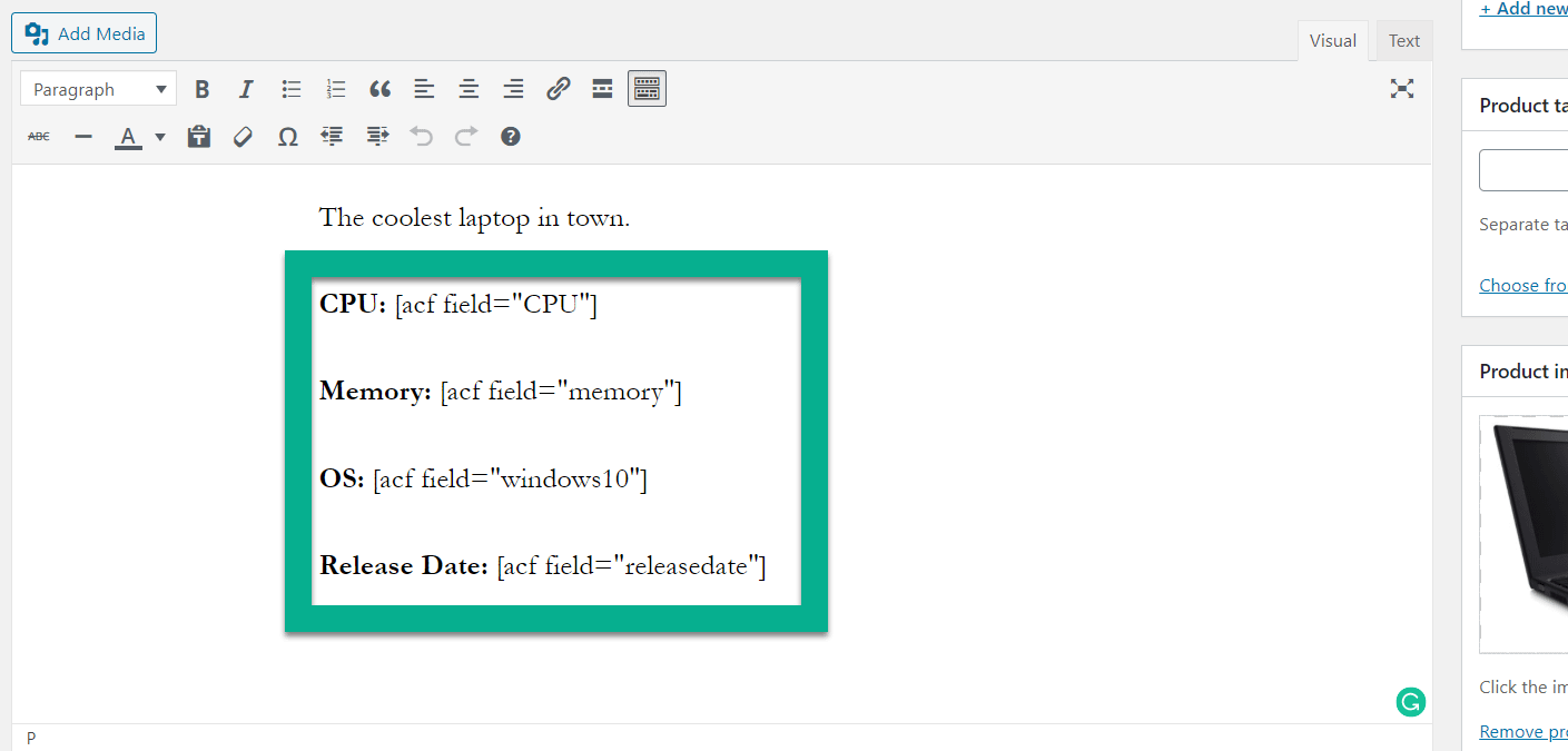 placing the shortcodes