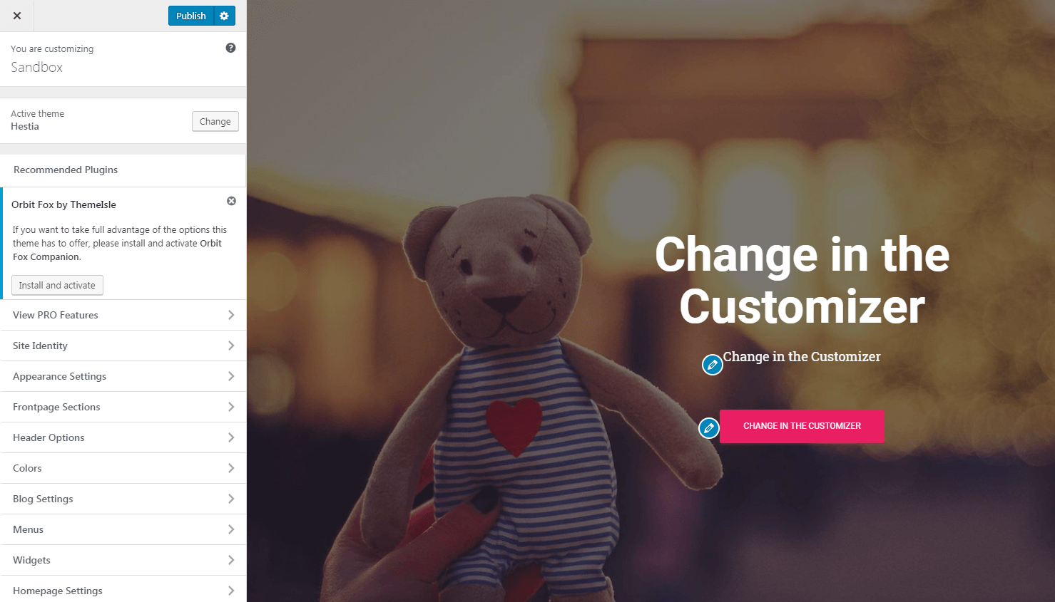The WordPress Customizer.