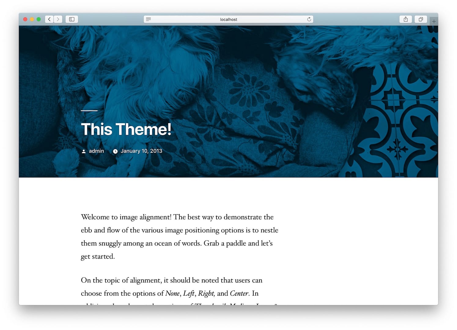 new WordPress site installed on XAMPP.