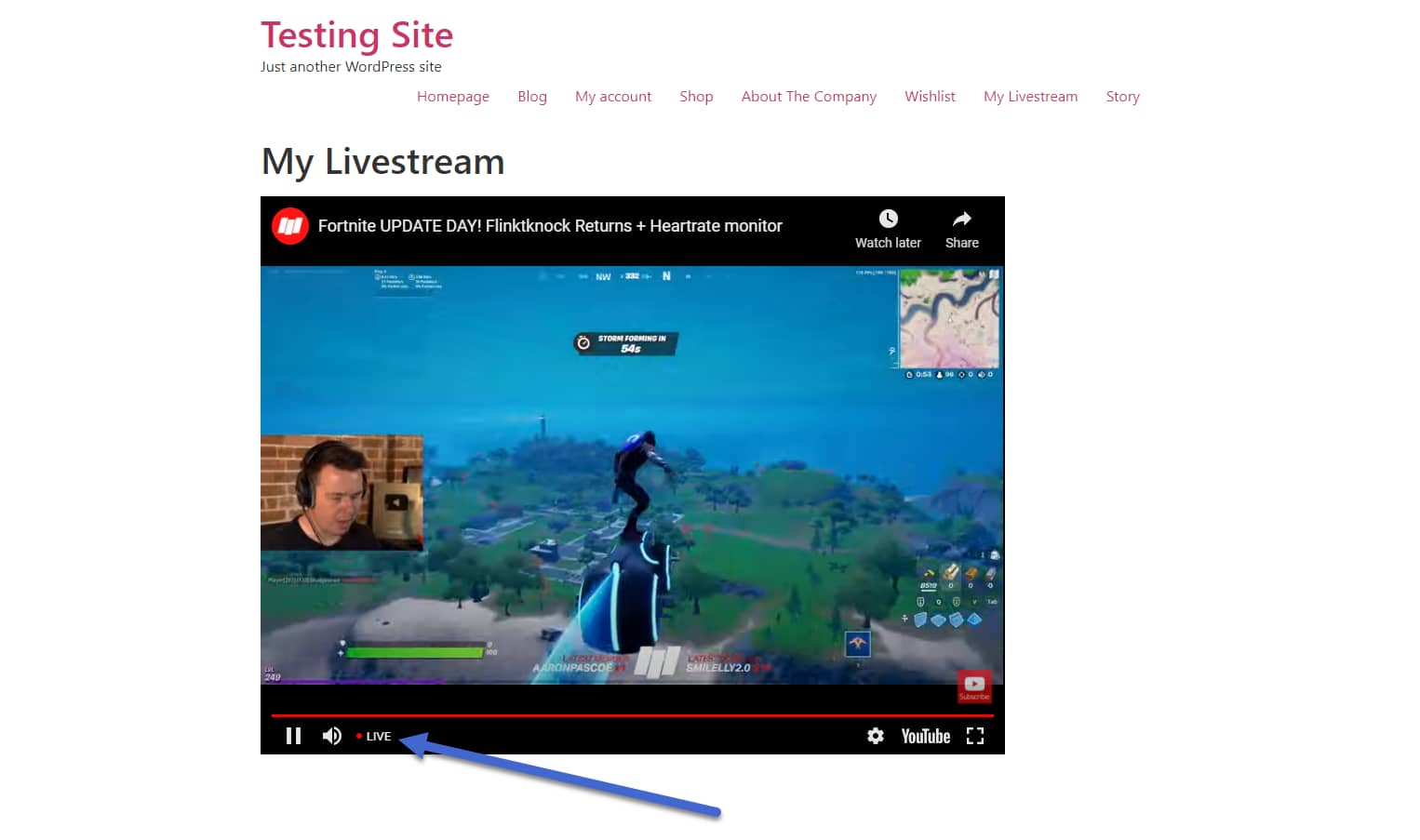 live icon - WordPress Live Streaming