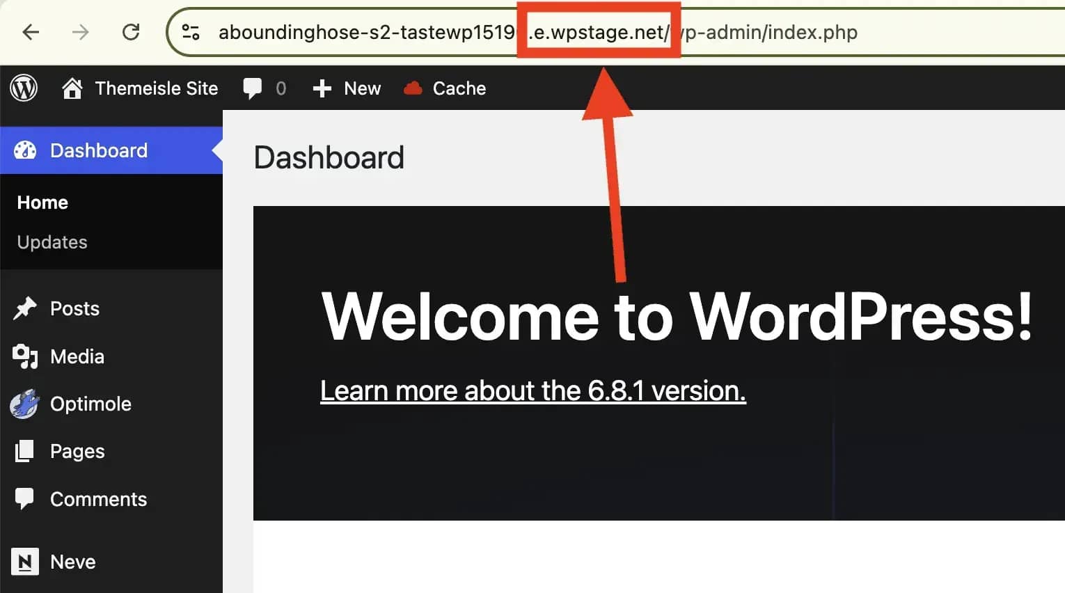Checking the URL to ensure you are on the staging site.