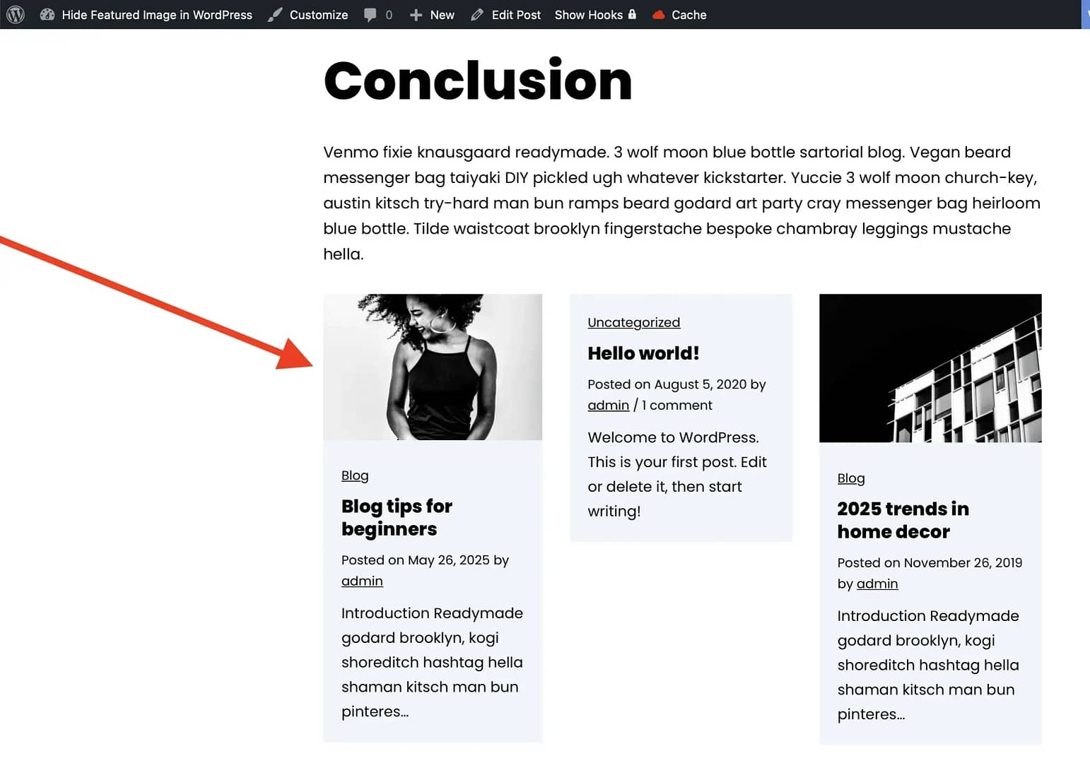 Feature image is still showing as a thumbnail in post carousels