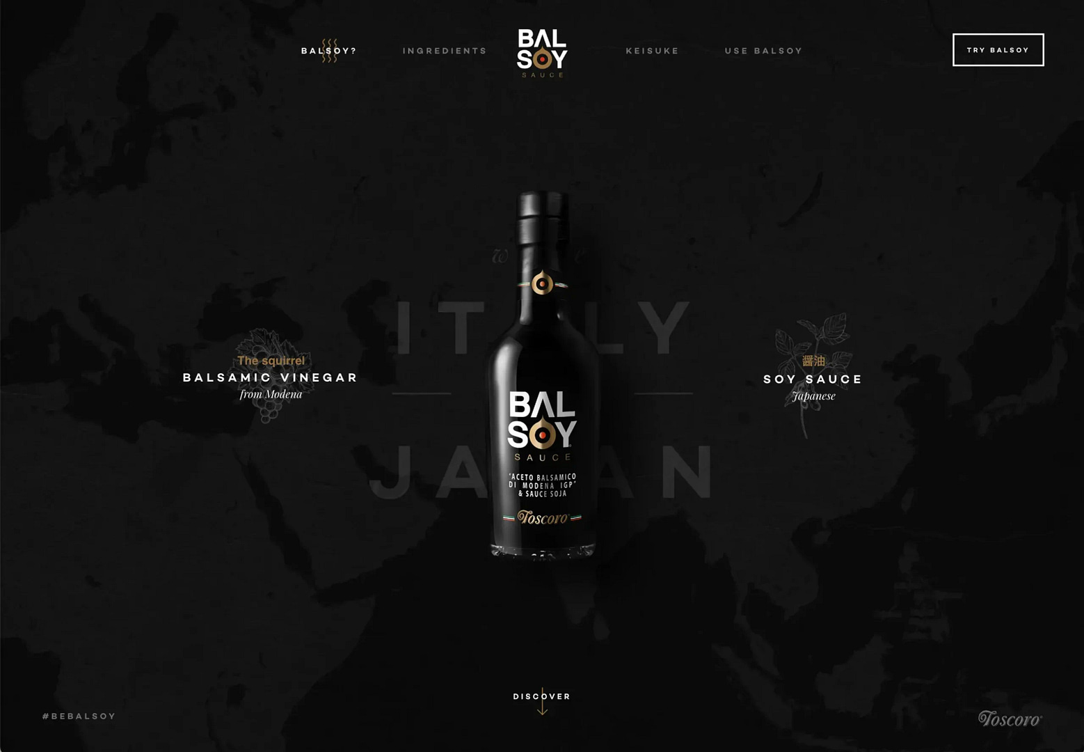 Example of a single product website selling a balsamic vinegar soy sauce fusion.