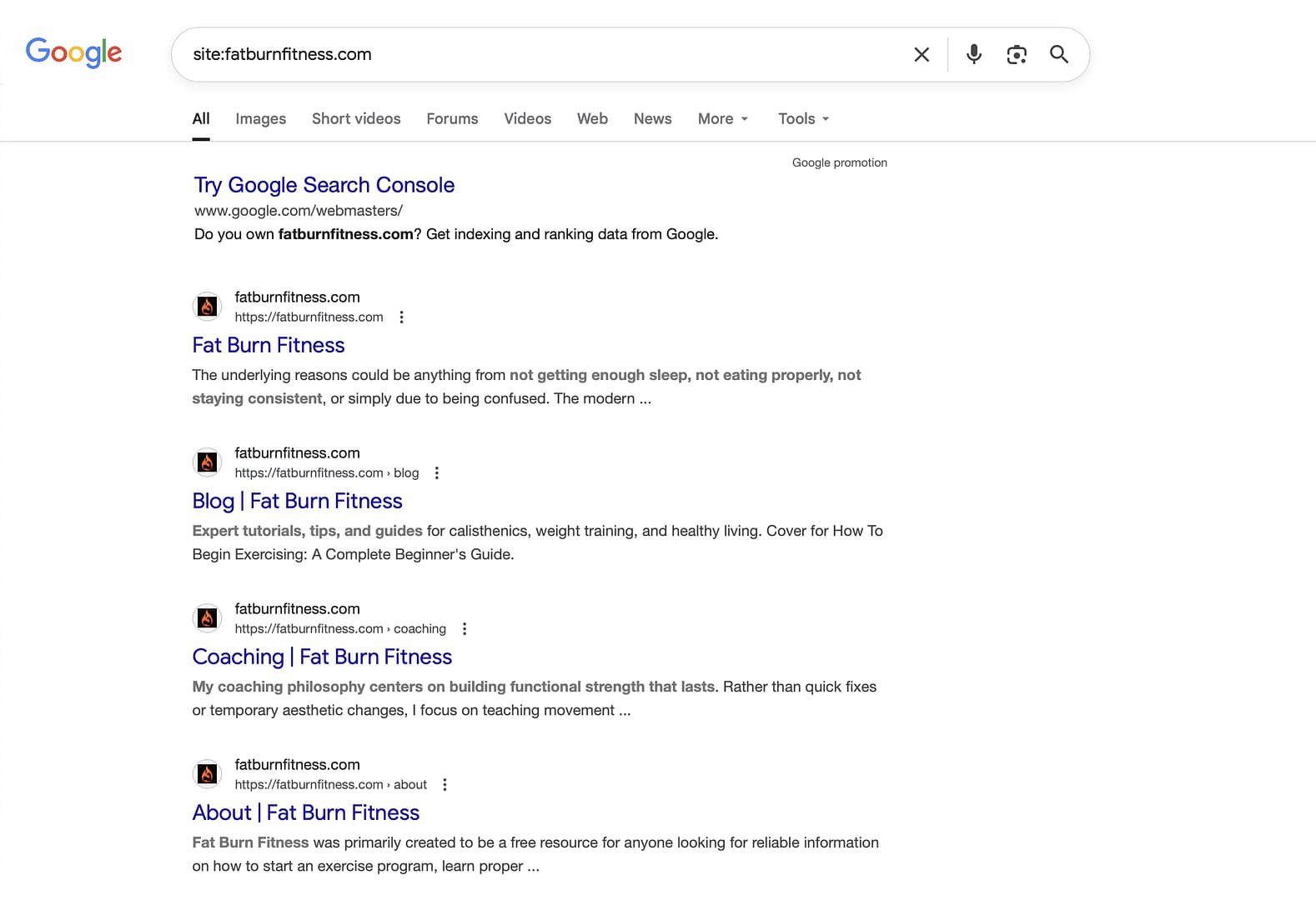 Checking if Google has indexed site in search.