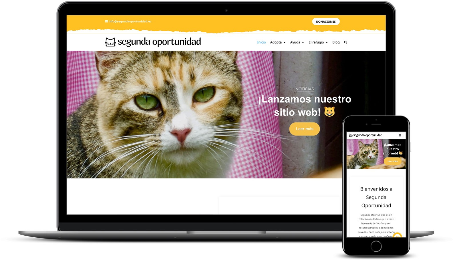 Веб-сайт Segunda Oportunidad создан с помощью Neve