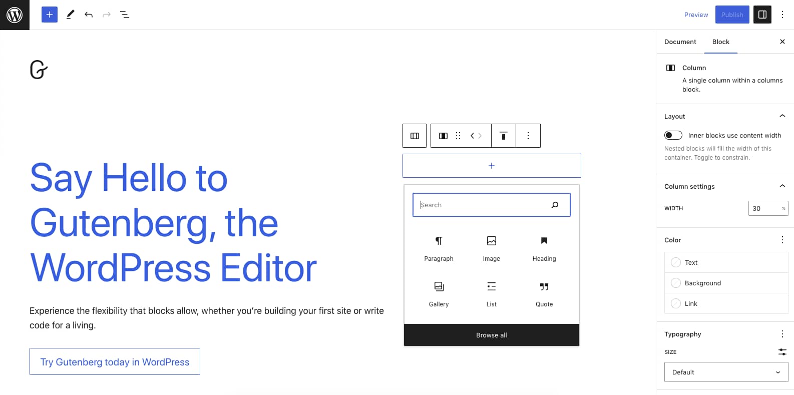 The Gutenberg editor demo version