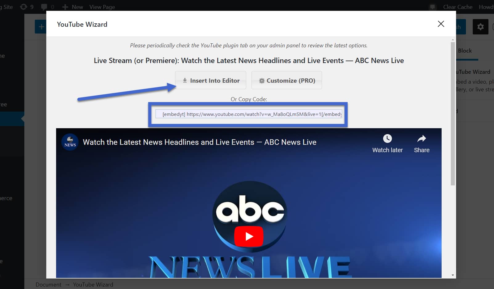 insert into editor - WordPress Live Streaming