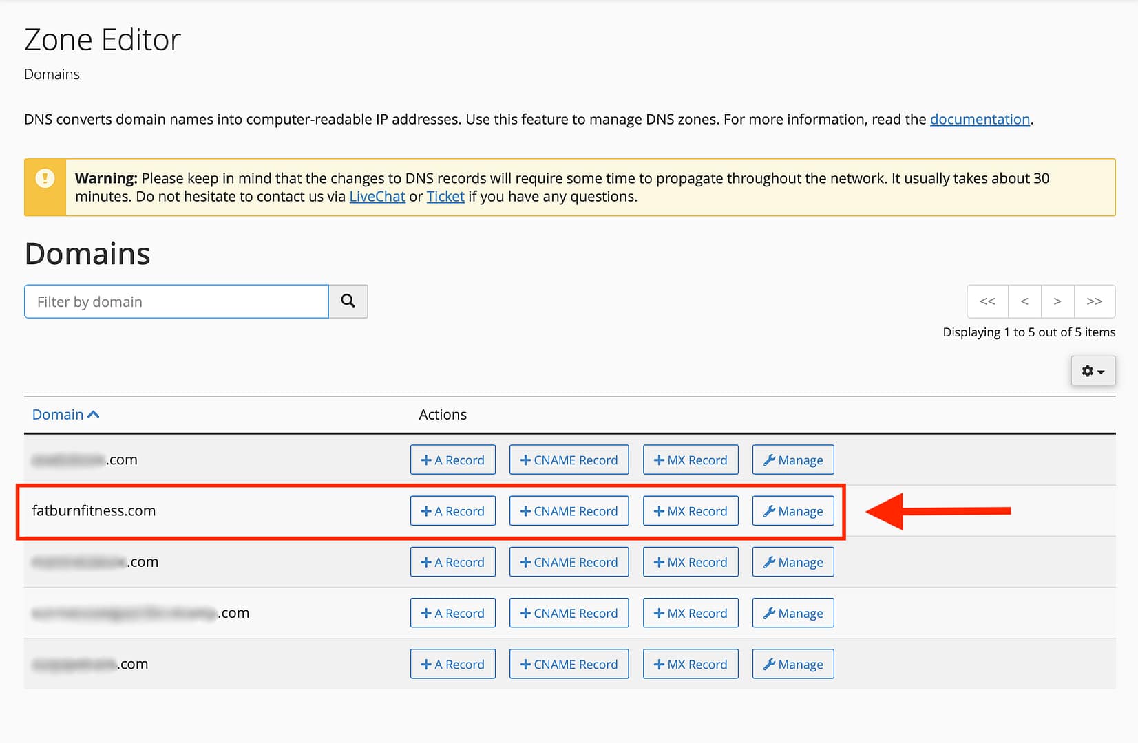 Choosing domain in cPanel Zone Editor.