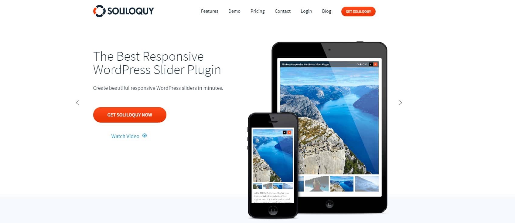 The Soliloquy plugin.