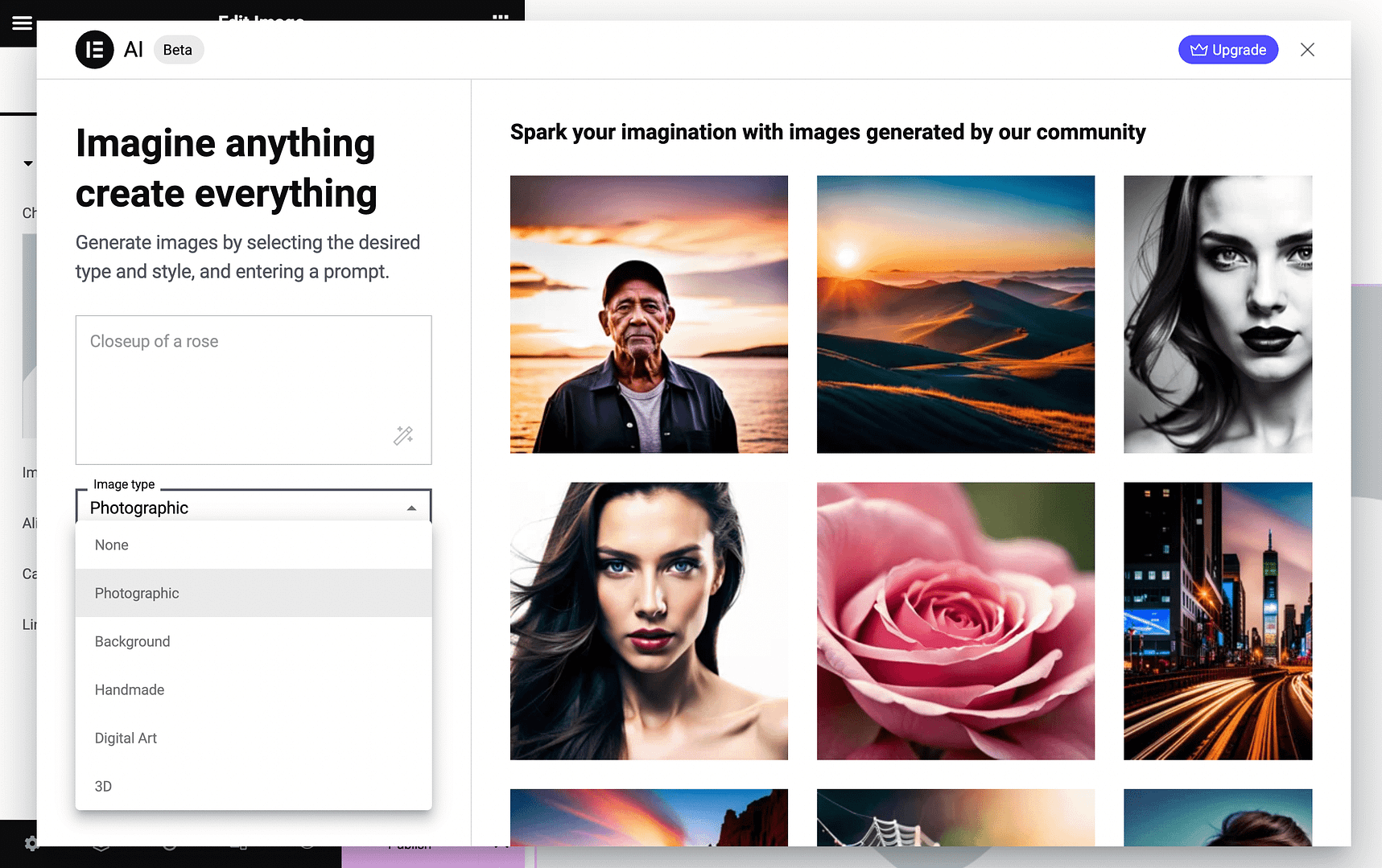 Choose an Image type for Elementor AI image generator.