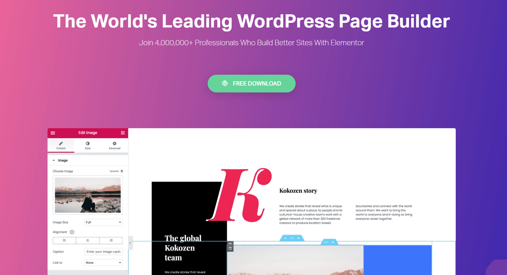 The Elementor page builder.