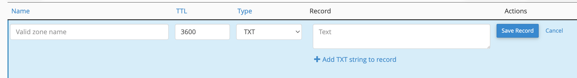 add new txt record