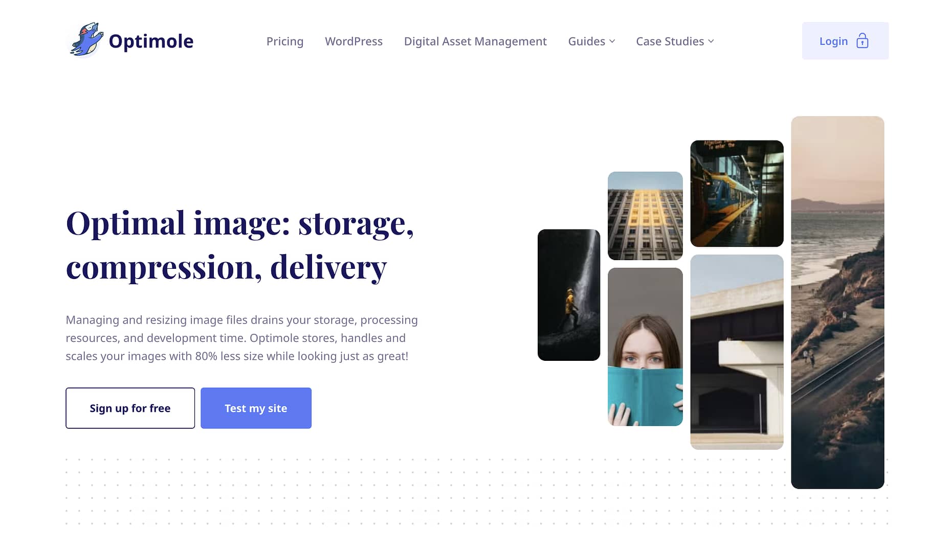 Optimole homepage.