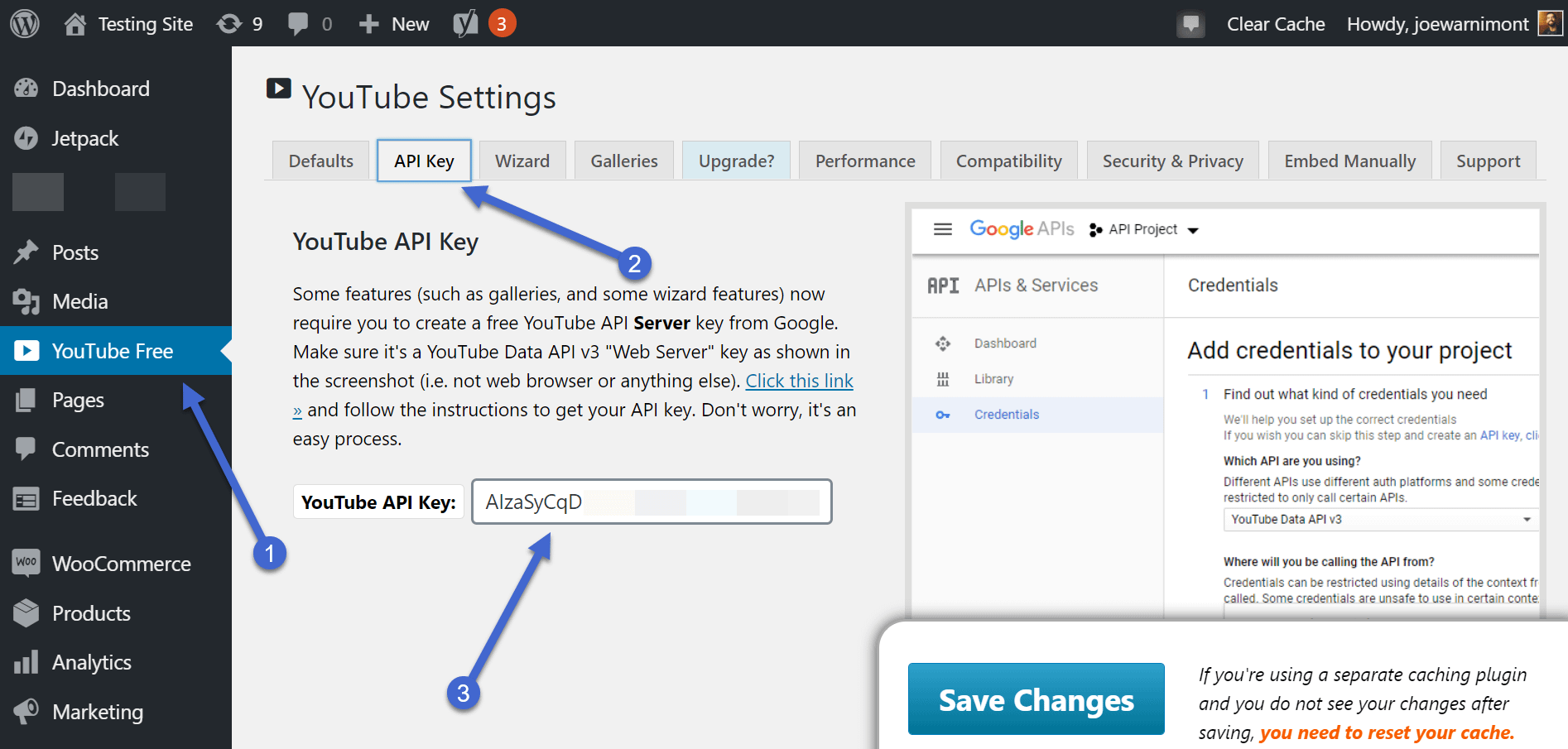 paste key - WordPress Live Streaming