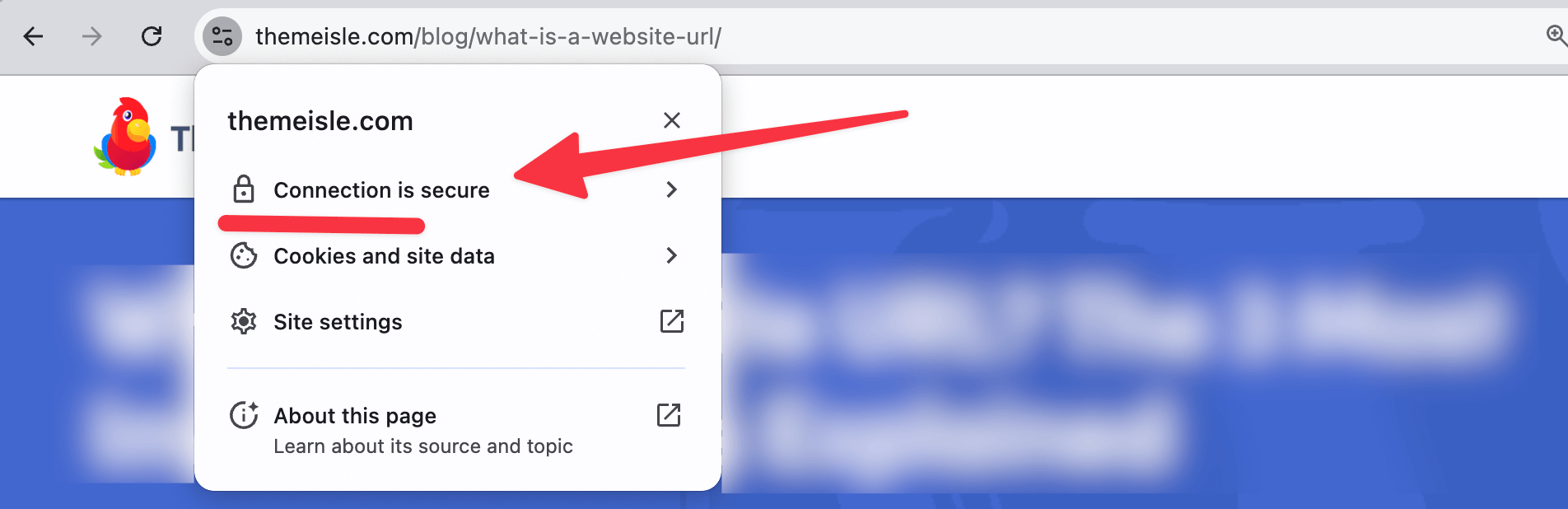 padlock in a URL