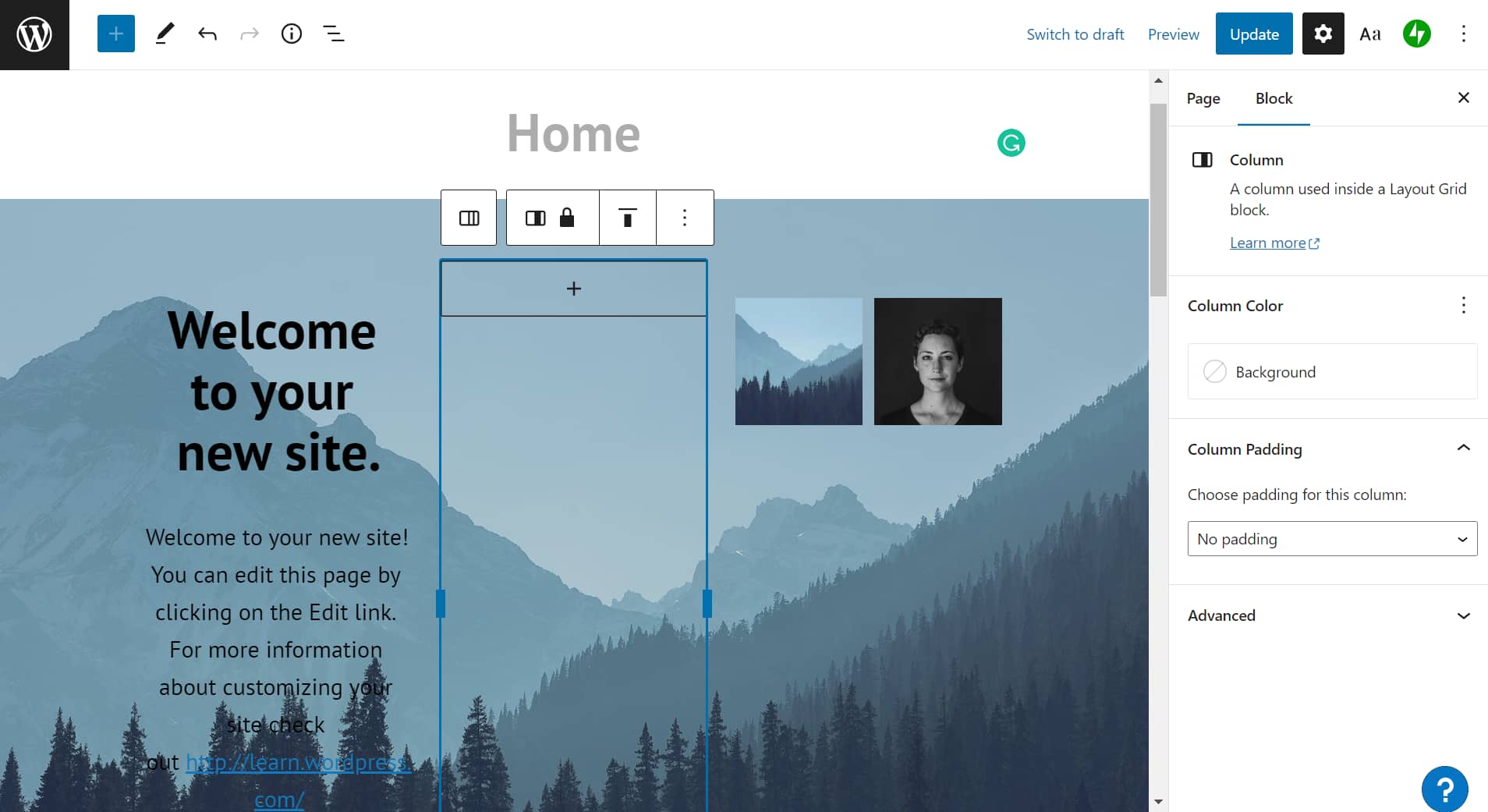 WordPress.com editor