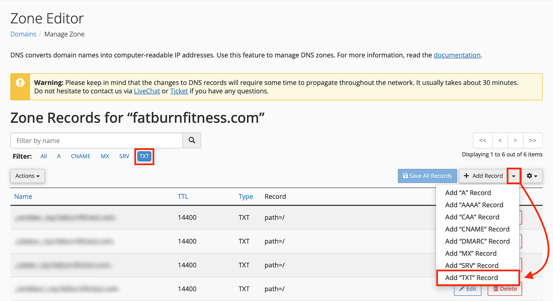 Adding TXT record in DNS Zone Editor.