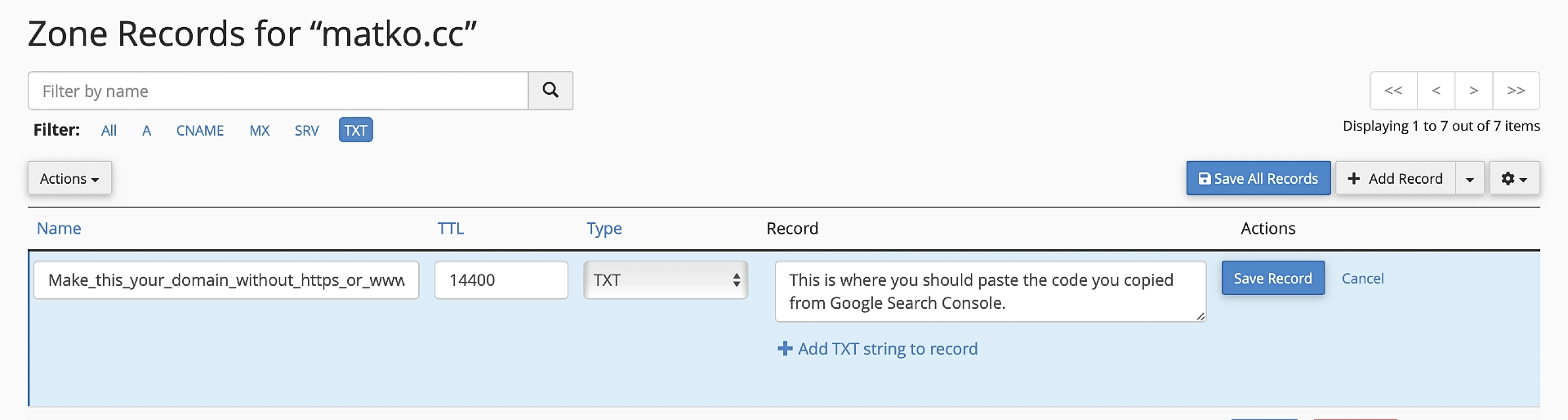 Adding the GSC code inside the DNS Zone Editor.