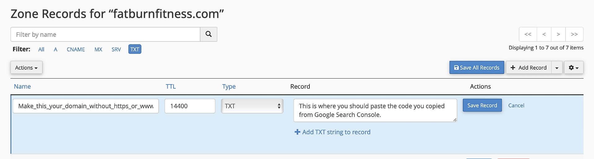 Adding the GSC code inside the DNS Zone Editor.