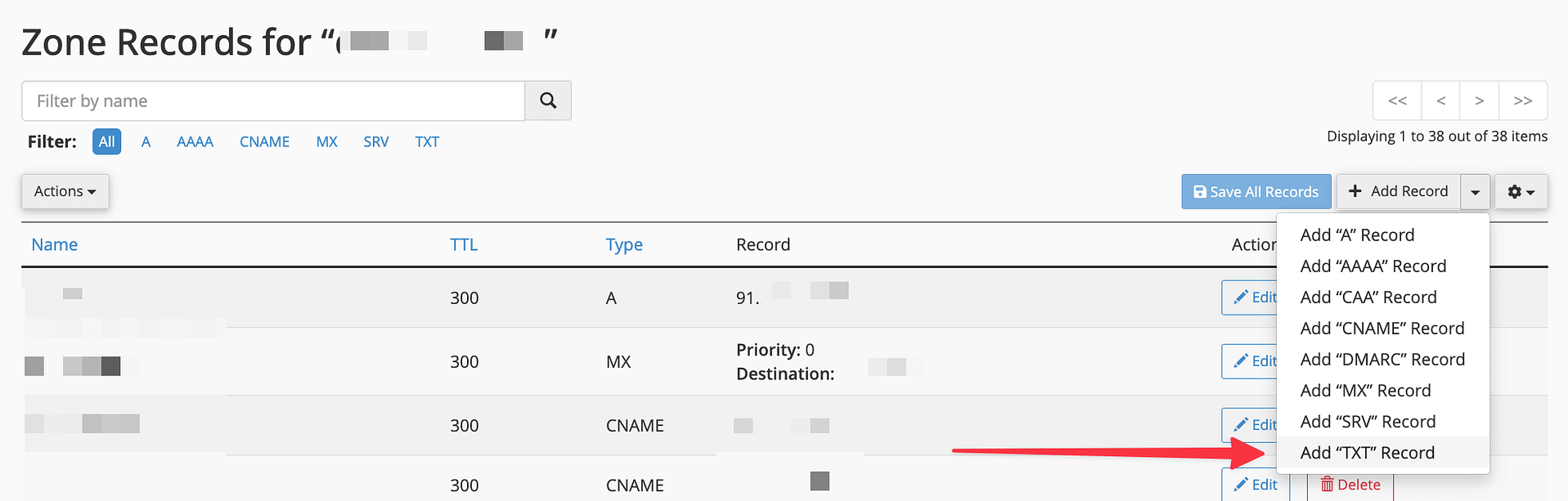 add txt record
