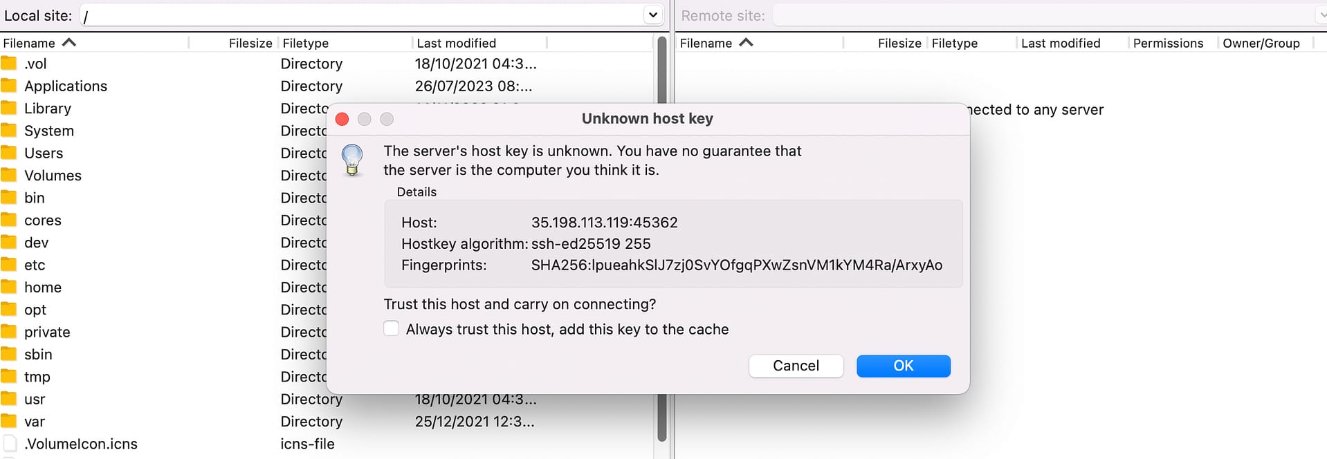 Finish forming FTP connection with FileZilla.