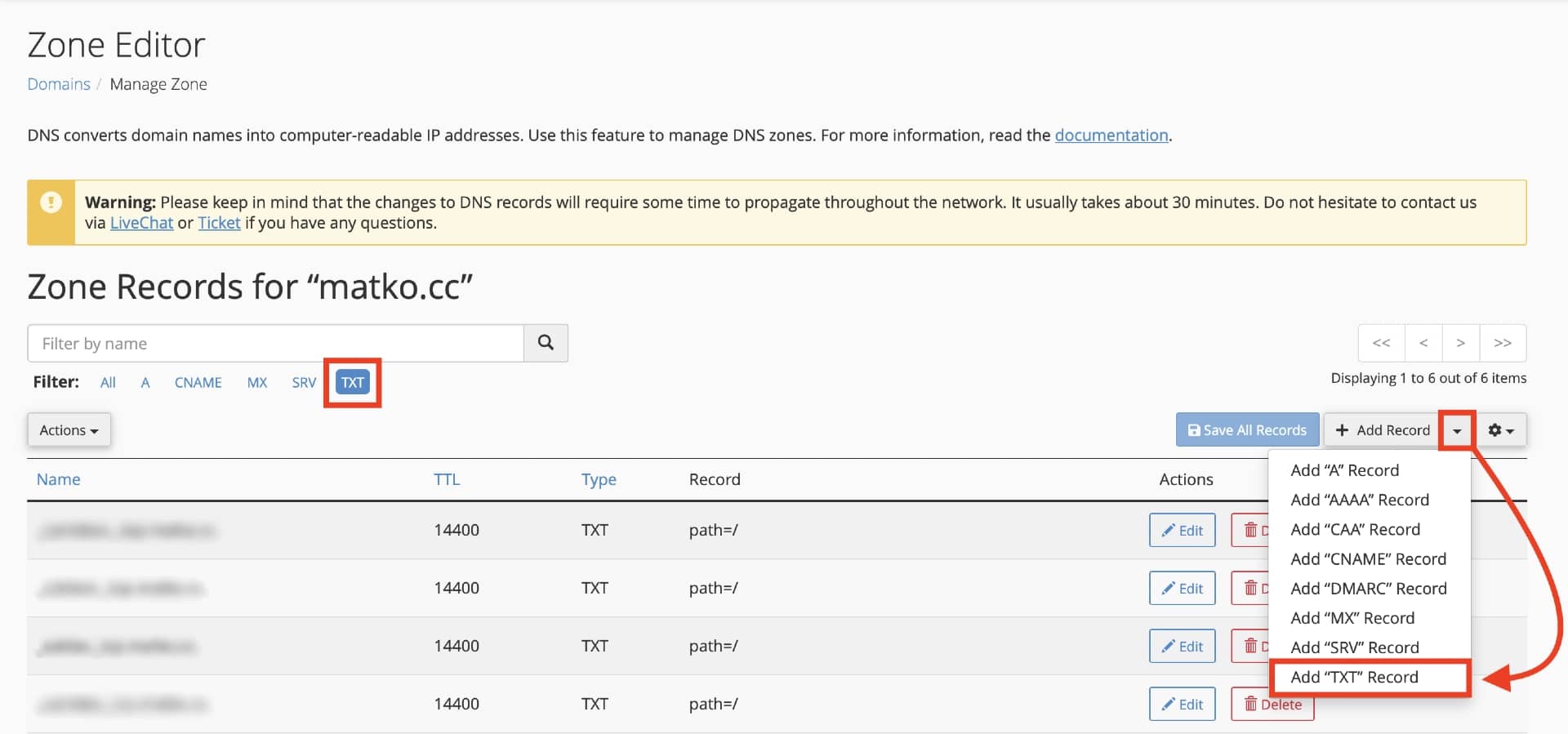 Adding a new TXT record to DNS Zone Editor.