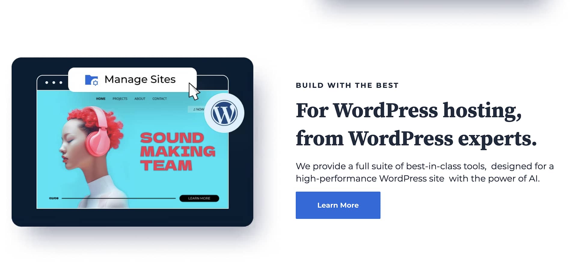 Bluehost WordPress marketing material.