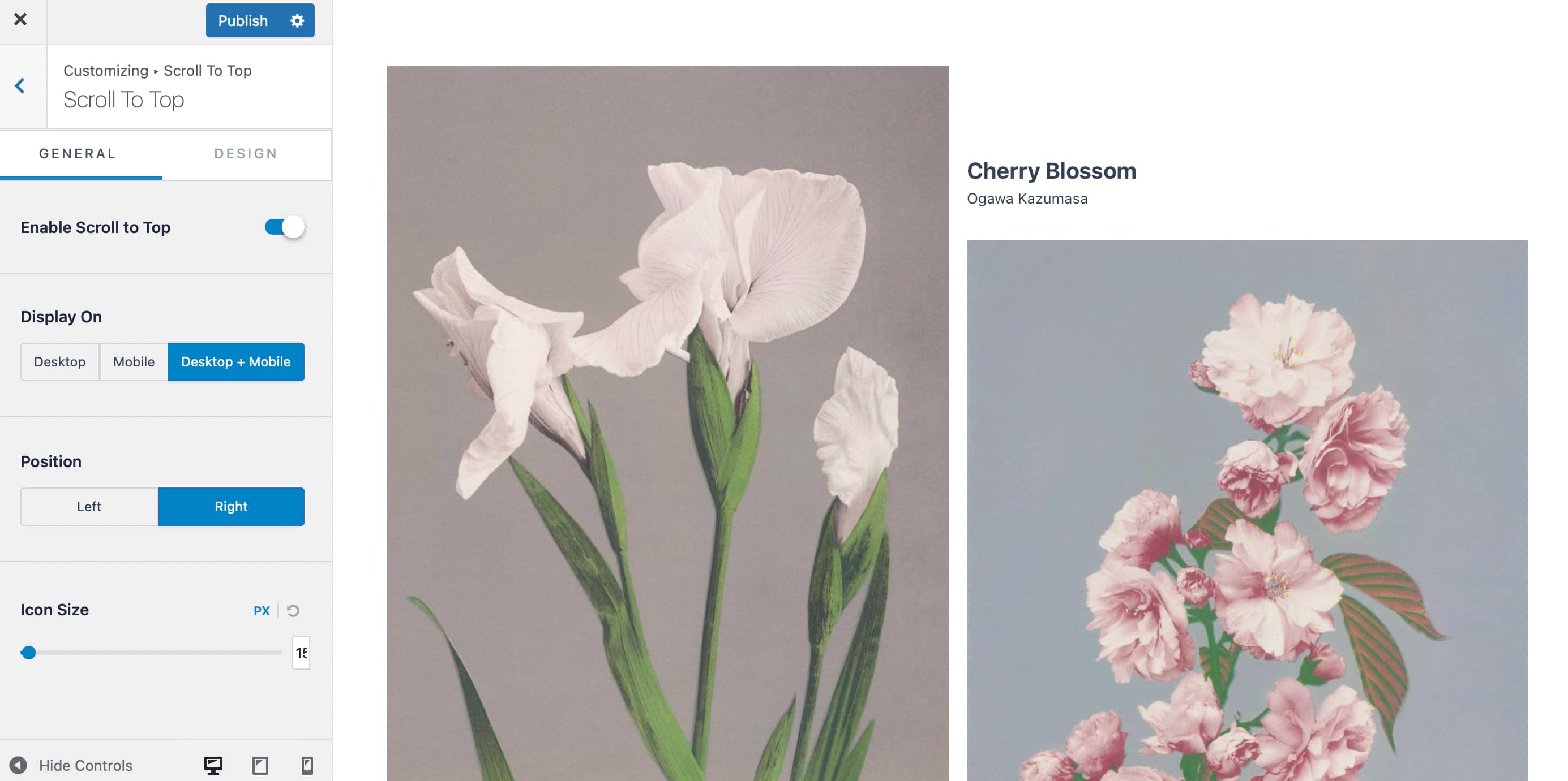 Astra Theme Review It S Hugely Popular But Is It Actually Worth It