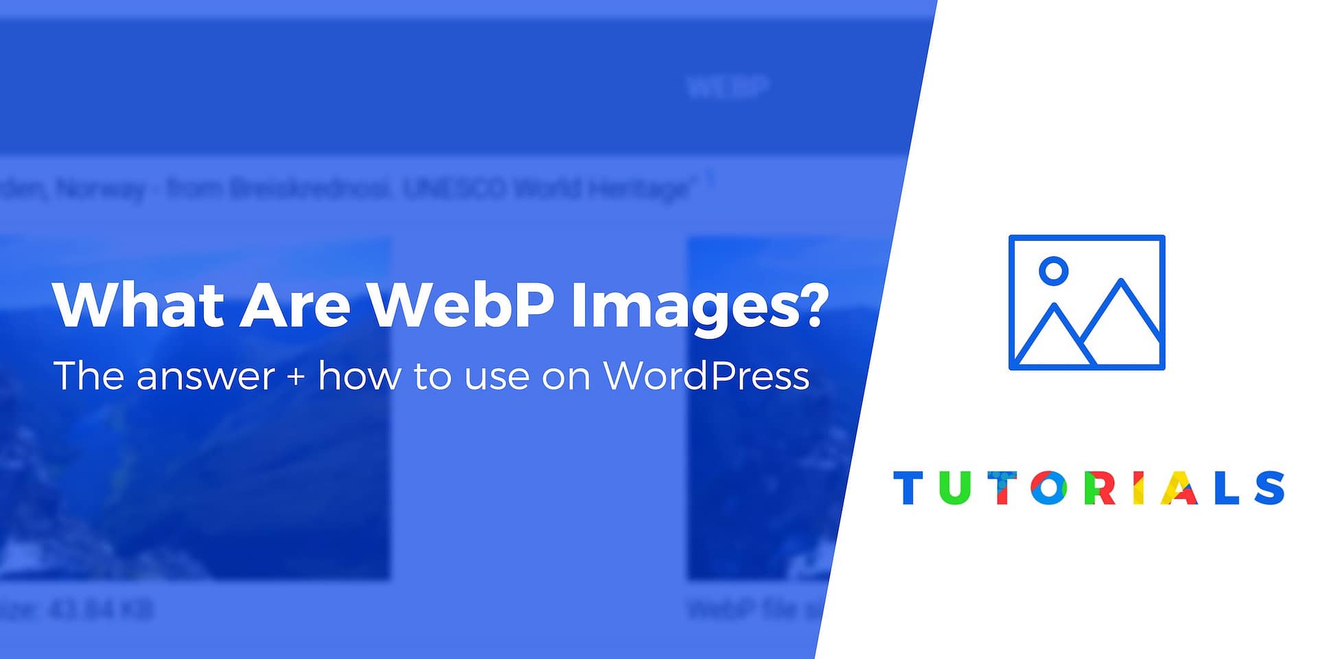 Blog Webp What Is WebP? Plus How to Use WebP Images in WordPress