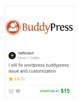 Fiverr gig example
