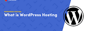 What is WordPress Hosting?