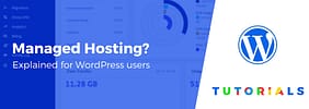 What Is Managed WordPress Hosting (And Do You Need It)?