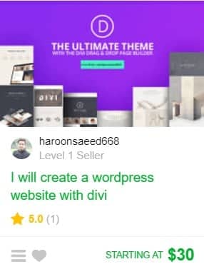Fivver WordPress gig example