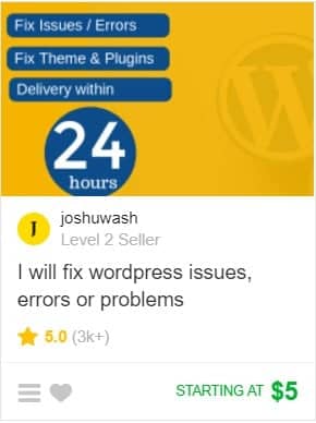 Fiverr gig example