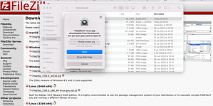 How to Use FileZilla: A Guide for Beginners