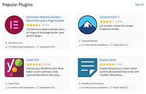 What's the Difference Between WordPress Plugins vs Themes? Explained