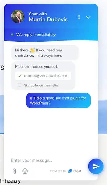 Tidio live chat on WordPress website