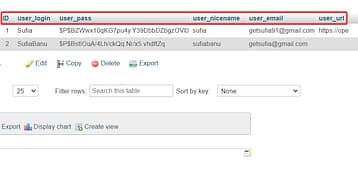 WordPress phpMyAdmin Guide: From a Beginner's Point of View
