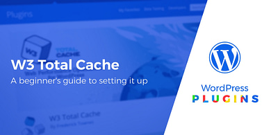 W3 Total Cache settings