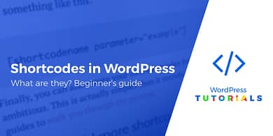 what are shortcodes in WordPress