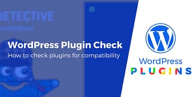 WordPress Plugin Check