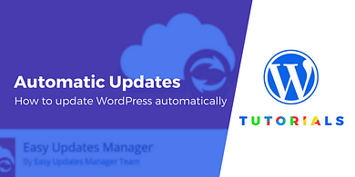 update WordPress automatically