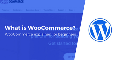 What is WooCommerce