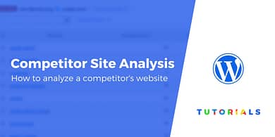 Competitor Site Analysis