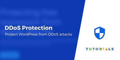 WordPress DDoS Protection
