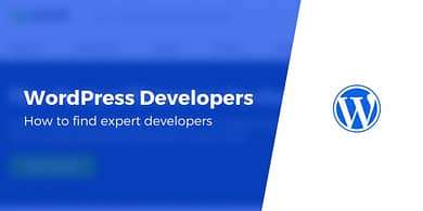 WordPress Developers