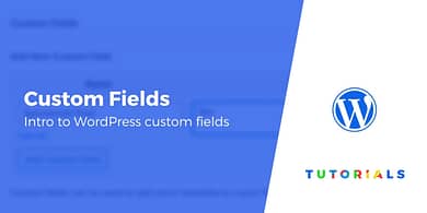 Custom Fields in WordPress